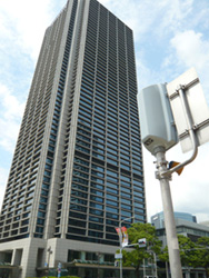 d-k2.jpg