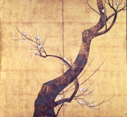 琳派　「白梅図屏風」　江戸時代　紙本金地着色（二曲一隻）
