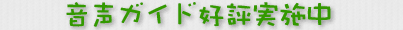 音声ガイド好評実施中