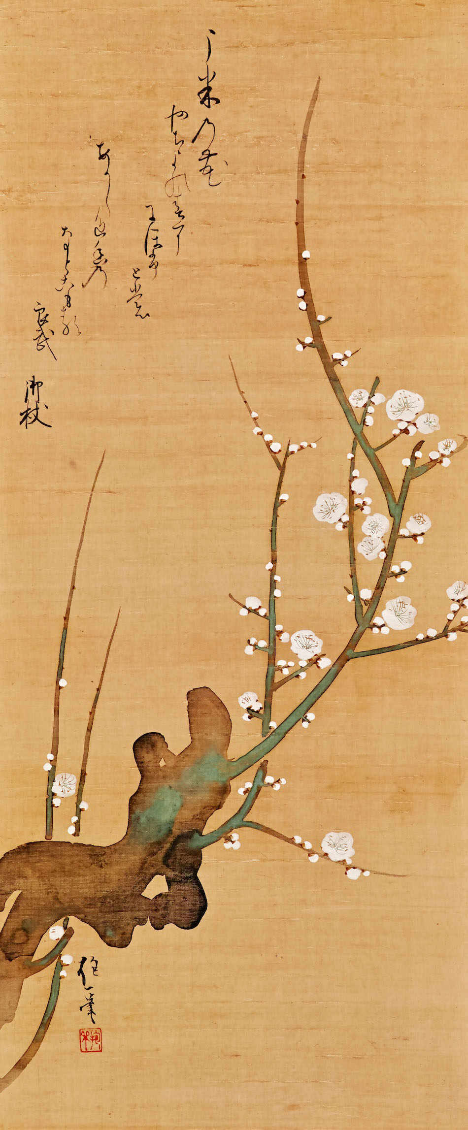 白梅図 酒井抱一 作品詳細 東京富士美術館