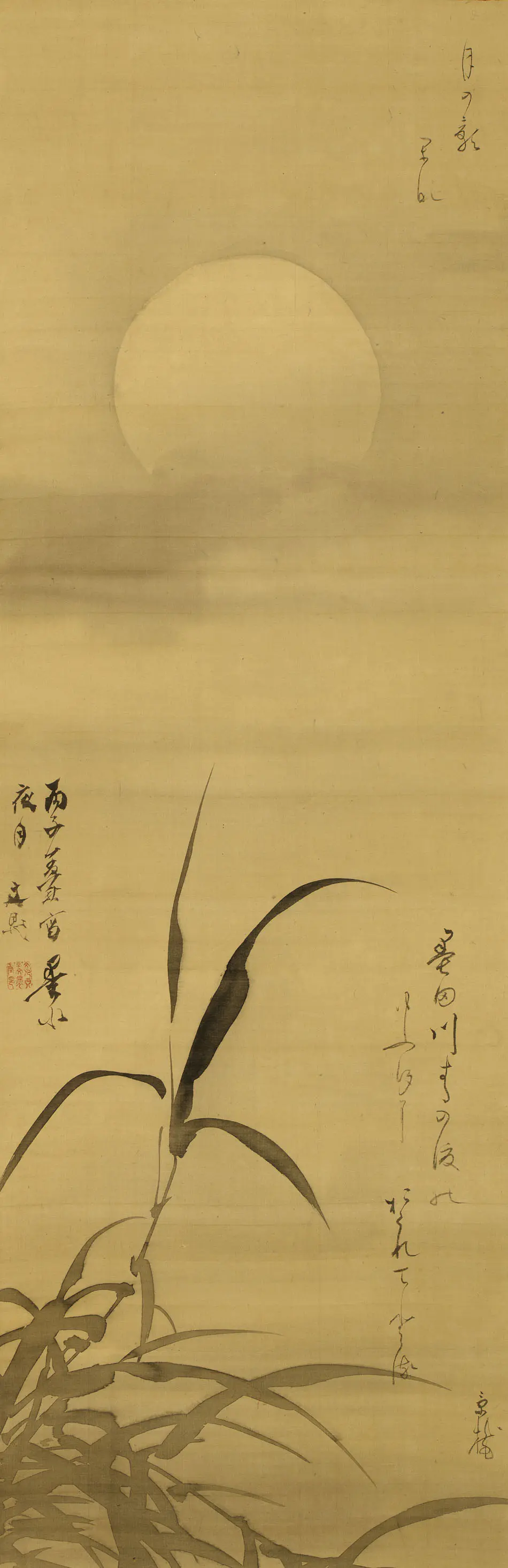 06571.jpg.webp